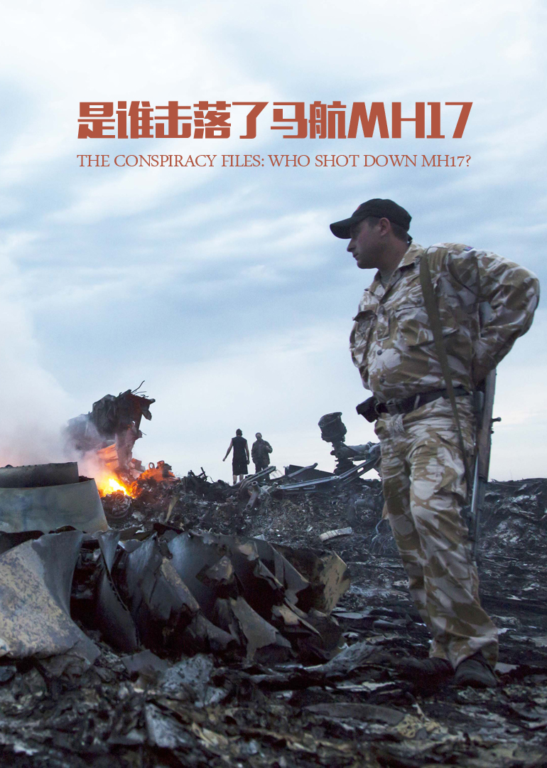 是谁击落了马航mh17