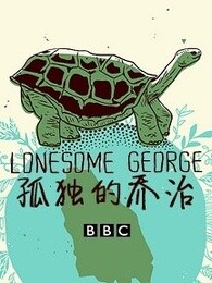 孤独的乔治