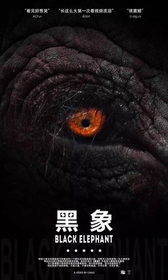 黑象