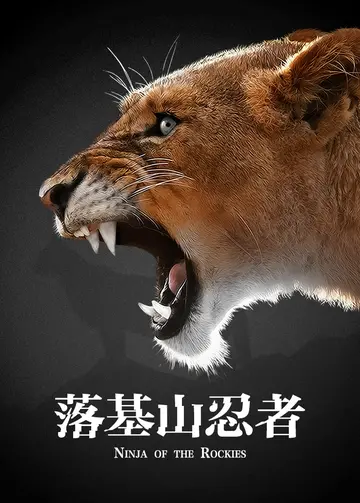 落基山忍者