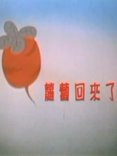 萝卜回来了