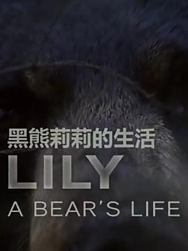 莉莉 一头熊的生活