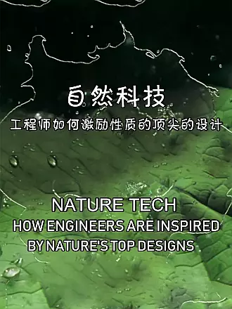 自然科技——工程师如何激励性质的顶尖的设计