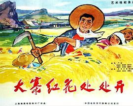 大寨红花处处开