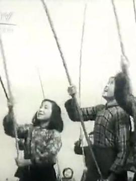 围剿麻雀