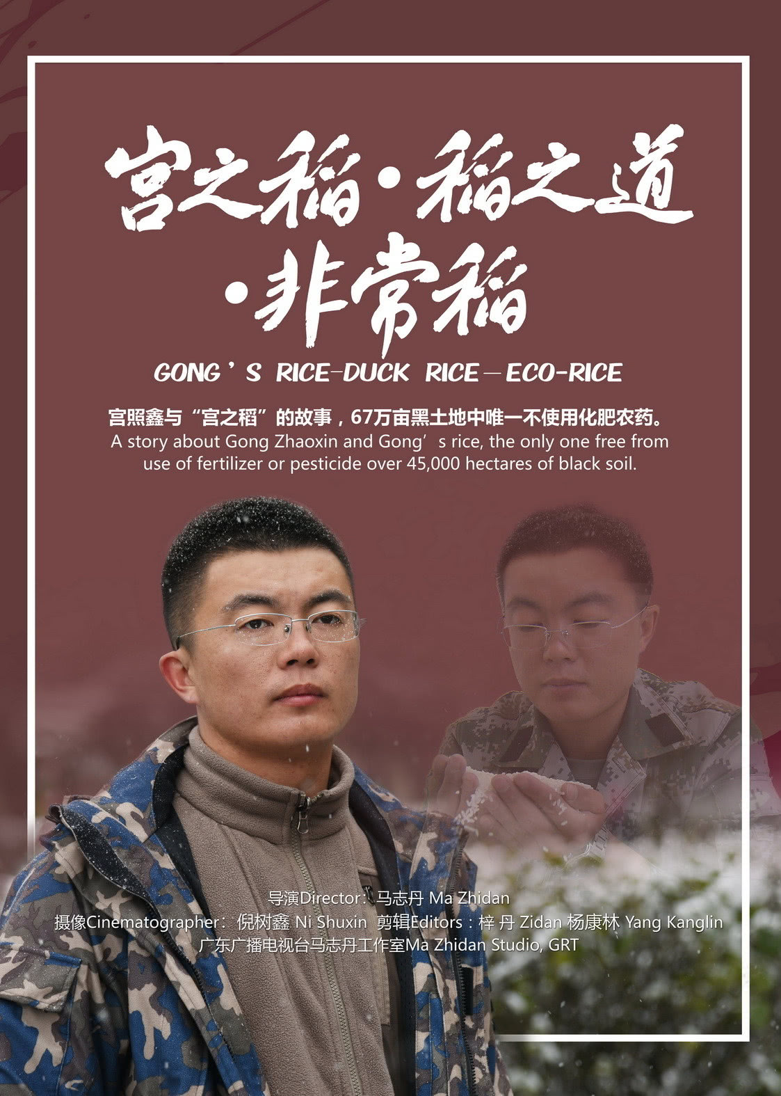 宫之稻