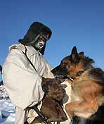 军中犬霸王